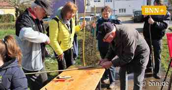 „Balmastegga“ im Fokus im Palmensteckenschnitzkurs in Ubstadt-Weiher - BNN - Badische Neueste Nachrichten