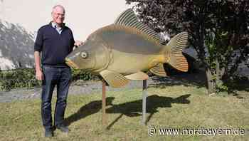 Das Angebot an Karpfen im Raum Erlangen ist knapp - Nordbayern.de