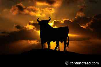 Solana (SOL) And Cardano (ADA) Are Resilient In The Crypto Market Amidst Institutional Profit Outflows - Cardano Feed