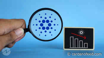 82% of Cardano (ADA) Holders Are Presently at Loss as per Latest Statistics - Cardano Feed