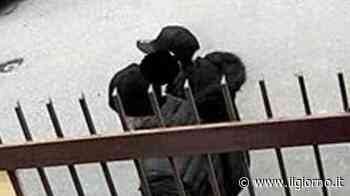 Monza, omicidio di Cristian Sebastiano: "L'hanno ucciso, non raccontate bugie" - IL GIORNO