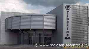 Elezioni Rsu. Grandissima affermazione Ugl nel gruppo Tiberina di Melfi (PZ) – Radio Senise Centrale - Radio Senise Centrale