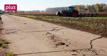 Trebur: Projektkosten steigen exorbitant - Echo Online