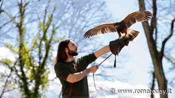 Pasqua e Pasquetta al Bosco di Paliano