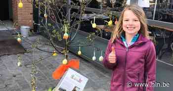 Oppositiepartij CD&V plant klimaatboom: “Niel moet meer vergroenen” - Het Laatste Nieuws