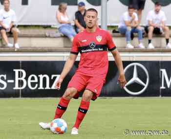 VfB gegen Mainz: Warum Abwehrchef Waldemar Anton auf der Sechs spielen könnte - VfB Stuttgart - Zeitungsverlag Waiblingen