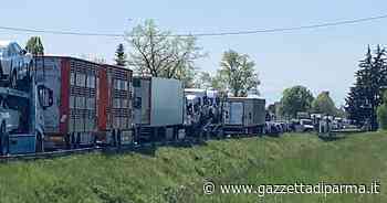 Auto in un canale: Asolana bloccata tra Parma e San Polo di Torrile in entrambe le direzioni - In aggiornamento - Gazzetta di Parma