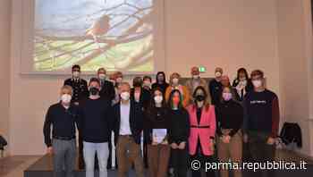 Gli studenti a difesa dei rondoni: Parma come un Parco degli edifici viventi - La Repubblica