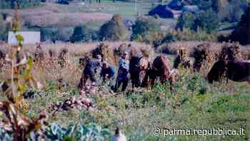 Storie di frontiera fra l'Ucraina e Parma. Viaggio di solo andata - La Repubblica