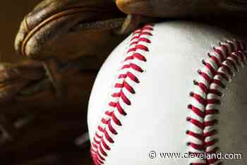 Mentor at Medina, Avon Lake at Amherst headline the next seven days: What to watch in high school baseball - cleveland.com