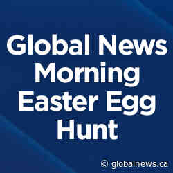 Global Calgary: Easter Egg Hunt on Global News Morning - Calgary | Globalnews.ca - Global News Calgary