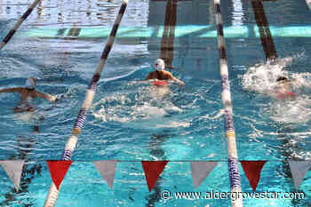 Langley Olympians Swim Club hosts long course invitational – Aldergrove Star - Aldergrove Star