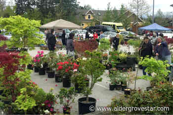LANGLEY GREEN THUMB: Garden clubs on the move, again – Aldergrove Star - Aldergrove Star