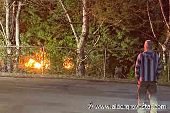 Fire doused in brush near Langley City gym – Aldergrove Star - Aldergrove Star