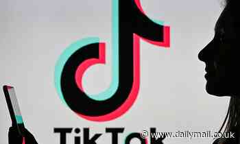 TikTok like a 'candy store' of 'immediate pleasure' for child users, says Oxford University ethicist