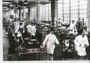 Asolo, gli ex lavoratori della Brionvega fanno da guida ai visitatori della mostra sulla storica azienda - Prima Treviso