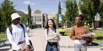 6 Reasons Why You Should Study in Calgary, Canada - StudyinCanada.com!