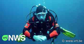 Duiker herstelt zwembad in Mol: "Zo kan het toch openblijven tijdens de werken" - VRT NWS