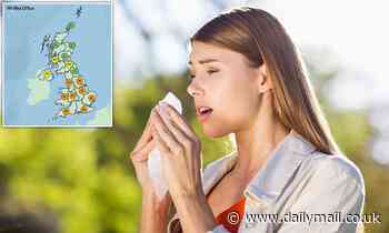 Hay fever warning issued as the Met Office predicts high pollen levels over Easter weekend 