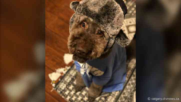 Return to seasonal conditions ahead for Calgary