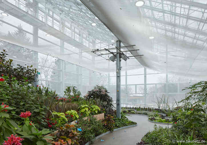 Es kreucht und fleucht in Montréal
 - Insektarium von Kuehn Malvezzi