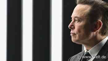 Tesla-Chef startet Übernahmeversuch bei Twitter