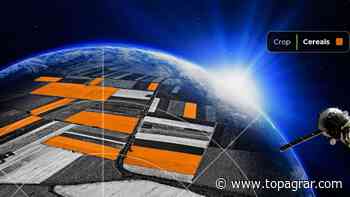 Kleffmann Digital prognostiziert Anbauflächen aus dem All | top agrar online - top agrar online