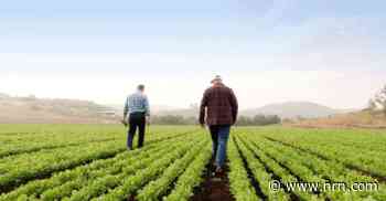 Sustainability moves up priority list after COVID’s shut-down lessons