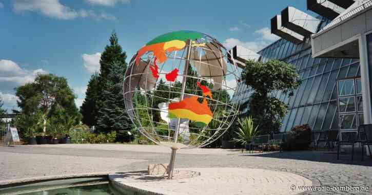 Die größte Blume der Welt blüht bald wieder in Bayreuth