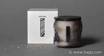 Natural Candle Brand LeVerden Rolls Out Sustainable Bamboo Forest Candle - happi.com