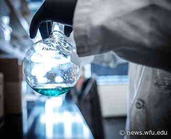 Three Wake Forest faculty win NSF CAREER Awards | Wake Forest News - Wake Forest News