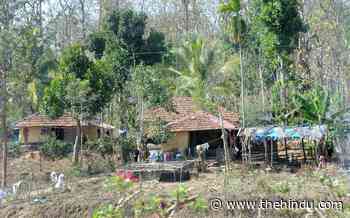 Forest dept. keen to enhance funds for voluntary relocation - The Hindu