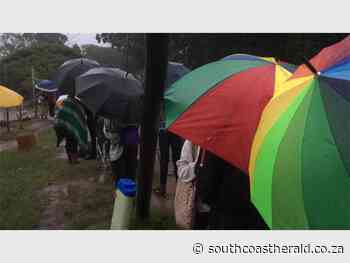 Tuning in: Forest walk and Mad Hatter's party this Saturday - South Coast Herald