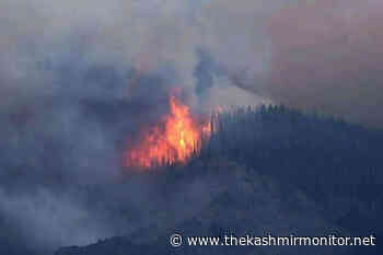 Unseasonable warm weather: J&K reports 510 forest fires in last 2.5 months - The Kashmir Monitor