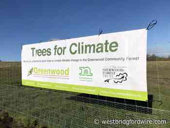 Nottinghamshire community forest expansion gets go ahead - West Bridgford Wire