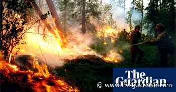Lightning-sparked forest fires set to increase in North America - The Guardian