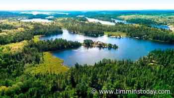 Temagami Forest Management Corp. awarded sustainable forest licence - TimminsToday