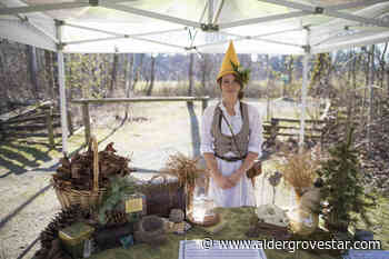 Volunteers dress as gnomes for Aldergrove forest walk – Aldergrove Star - Aldergrove Star