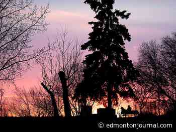 Edmonton weather: That temperature you like is going to come back in style