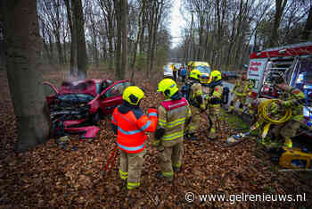 Auto ramt boom en vliegt in brand in Arnhem - GelreNieuws