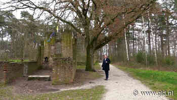 Deze mysterieuze boom zou je genezen van hoge koorts - Omroep Gelderland