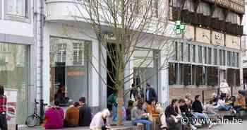 IN BEELD. Stad plant vierde boom eindelijk succesvol op Hasseltse Grote Markt - Het Laatste Nieuws