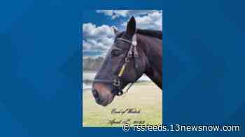 Virginia Beach police horse dies 2 days after patrolling Oceanfront