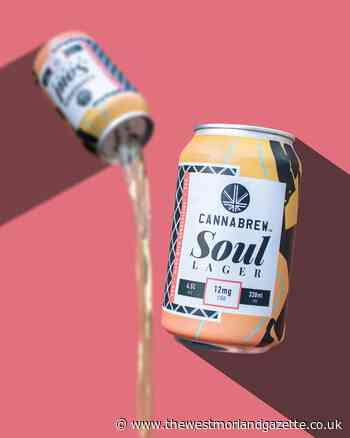 Lancaster's Cannabrew expands cider and beers offers to South Lakes and Cumbria | The Westmorland Gazette - The Westmorland Gazette