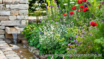 Garten nachhaltig gestalten – 8 Tipps für Umweltbewusste