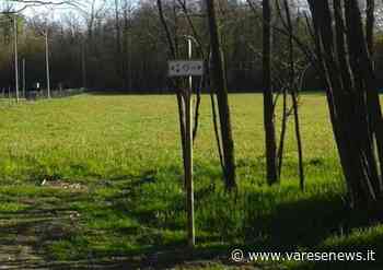 Gli studenti di Samarate vogliono mappare i boschi dell'anello di Verghera - varesenews.it