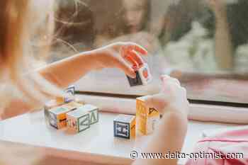 B.C. dad gets $100 of $3250 costs returned in child-care dispute - Delta Optimist