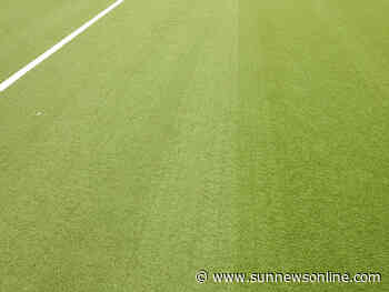 NSF: Delta to develop hockey pitch, other facilities - Daily Sun