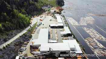 San Group buying Delta sawmill - Delta Optimist