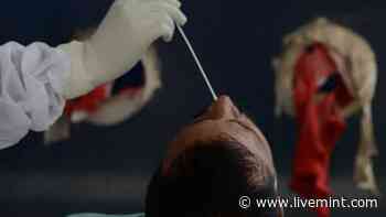 Can Xe Covid Variant Cause Severe Infections Like Delta? Delhi Doctor On Mutant Strain | Mint - Mint